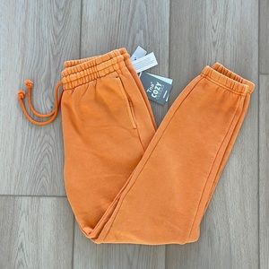 Aritzia TNA Cozy Fleece Boyfriend Sweatpant